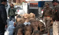 करोड़ों रुपए की प्रतिबंधित लकड़ी के साथ 6 तस्कर गिरफ्तार