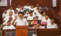 सीएम का ऐलान- तमिलनाडु में नहीं लागू करेंगे CAA- जो उखाड़ना है... सीएम का ऐलान- तमिलनाडु में नहीं लागू करेंगे CAA- जो उखाड़ना है...