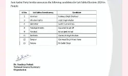 लोकसभा चुनाव 2024- AAP ने भी घोषित किए उम्मीदवार- इन्हें दिए टिकट लोकसभा चुनाव 2024- AAP ने भी घोषित किए उम्मीदवार- इन्हें दिए टिकट