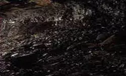 कोयला खदान दुर्घटना में 7 लोगों की मौत- मचा कोहराम कोयला खदान दुर्घटना में 7 लोगों की मौत- मचा कोहराम