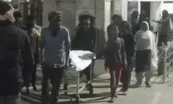 मधुमक्खी का छत्ता ले गया युवक की जान- दूसरा हुआ गंभीर घायल