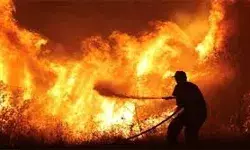 जंगल में लगी आग- मौके पर पहुंचे दमकलकर्मी