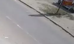 राजधानी में दिनदहाड़े चेन लूट- ई रिक्शा से उतरी महिला से चेन स्नेचिंग राजधानी में दिनदहाड़े चेन लूट- ई रिक्शा से उतरी महिला से चेन स्नेचिंग