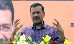 HC पहुंचे केजरीवाल- मीलाॅर्ड ED से कहिए मुझे ना करें गिरफ्तार HC पहुंचे केजरीवाल- मीलाॅर्ड ED से कहिए मुझे ना करें गिरफ्तार