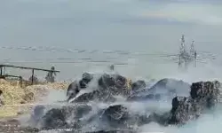 पेपर मिल में लगी भयंकर आग- आसपास अफरातफरी- फायर ब्रिगेड मौके पर