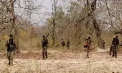 3 दिन में हिसाब किया चुकता- एनकाउंटर में 6 नक्सलवादी किये ढेर 3 दिन में हिसाब किया चुकता- एनकाउंटर में 6 नक्सलवादी किये ढेर