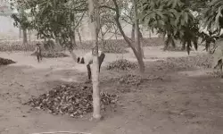 इलाके की दुकान बंद- मुख्तार के घर के बाहर समर्थकों की भारी भीड़ इलाके की दुकान बंद- मुख्तार के घर के बाहर समर्थकों की भारी भीड़