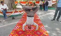 नामांकन खरीदा और प्रत्याशी ने कलेक्ट्रेट कर दिये सिर नीचे व पांव ऊपर नामांकन खरीदा और प्रत्याशी ने कलेक्ट्रेट कर दिये सिर नीचे व पांव ऊपर