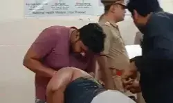 मधुमक्खियों के झुंड ने बोला हमला- महिला की मौत- पांच घायल