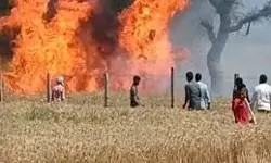 शार्ट सर्किट से लगी आग में गेंहू की फसल जलकर हुई खाक