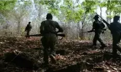 बड़ा एनकाउंटर- सुरक्षाबलों के साथ मुकाबला करते चार नक्सली ढेर बड़ा एनकाउंटर- सुरक्षाबलों के साथ मुकाबला करते चार नक्सली ढेर