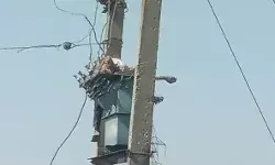 ट्रांसफार्मर पर तार जोड़ रहे किसान की हाईटेंशन करंट से मौत ट्रांसफार्मर पर तार जोड़ रहे किसान की हाईटेंशन करंट से मौत