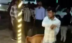 खाने के पैसों को लेकर होटल में बवाल जमकर हुई मारपीट चले लाठी डंडे