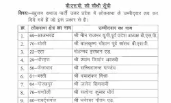 बसपा ने लिस्ट जारी कर खोले उम्मीदवारों के पत्ते- इनको दिया टिकट