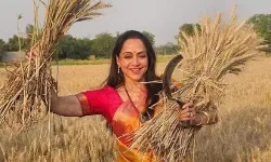 5 साल में तैयार हुई फसल को काटने के लिए पहुंची सांसद हेमा मालिनी