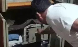 ताले तोड़कर मकान में घुसे चोरों ने पहले उडाई दावत- फिर ले उड़े नगदी... ताले तोड़कर मकान में घुसे चोरों ने पहले उडाई दावत- फिर ले उड़े नगदी...