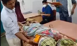महुआ बीन रही महिला पर भालू का हमला- हॉस्पिटल ले जाते समय... महुआ बीन रही महिला पर भालू का हमला- हॉस्पिटल ले जाते समय...