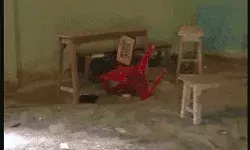 दूसरे चरण में तोड़ी गई थी EVM- 30 अप्रैल को दोबारा होगी वोटिंग दूसरे चरण में तोड़ी गई थी EVM- 30 अप्रैल को दोबारा होगी वोटिंग