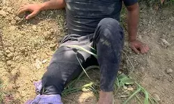 मुठभेड़ में जख्मी हुए पशु चोर समेत दो गिरफ्तार- चोरी की भैंस व कटिया..