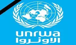 गाजा पट्टी में महिलाओं को बना रहा है निशाना- यूएनआरडब्ल्यूए गाजा पट्टी में महिलाओं को बना रहा है निशाना- यूएनआरडब्ल्यूए