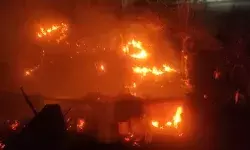 गैस सिलेंडर में हुए लीकेज से लगी भीषण आग- मवेशी भी जलकर मरे