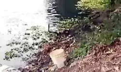 गेंद समझकर उठाया बम - हो गया ब्लास्ट- दो बच्चे गंभीर गेंद समझकर उठाया बम - हो गया ब्लास्ट- दो बच्चे गंभीर