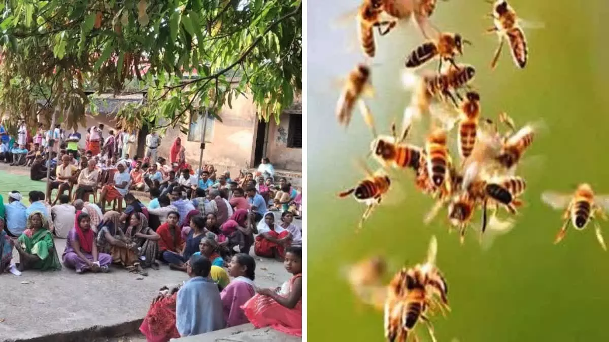 मतदाताओं पर मधुमक्खियों ने किया हमला- आठ लोग घायल