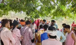 पेड़ पर फांसी के फंदे पर झूली आदिवासी बालिका- मचा हड़कंप पेड़ पर फांसी के फंदे पर झूली आदिवासी बालिका- मचा हड़कंप