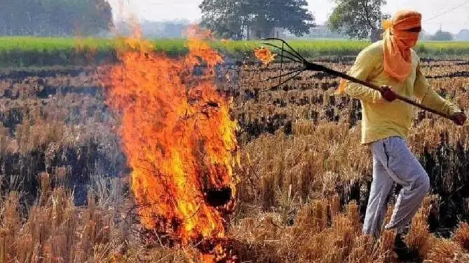खेत में जलाई पराली तो किसान को नहीं मिलेगा इस बड़ी योजना का लाभ खेत में जलाई पराली तो किसान को नहीं मिलेगा इस बड़ी योजना का लाभ