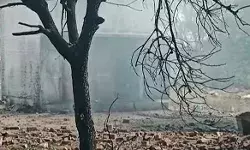 पटाखा फैक्ट्री में हुये विस्फोट में मरने वालों की संख्या बढ़कर 10 हुयी पटाखा फैक्ट्री में हुये विस्फोट में मरने वालों की संख्या बढ़कर 10 हुयी