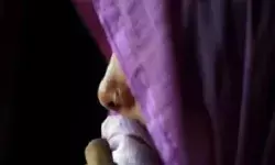 पुत्रवधू के अंतिम संस्कार से पहले ससुर ने फांसी लगाकर दी जान पुत्रवधू के अंतिम संस्कार से पहले ससुर ने फांसी लगाकर दी जान