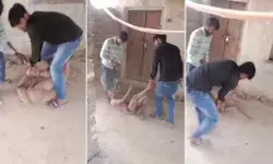 कर्ज अदायगी के लिए अर्द्धनग्न कर युवक की पिटाई- वीडियो वायरल कर्ज अदायगी के लिए अर्द्धनग्न कर युवक की पिटाई- वीडियो वायरल