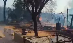 जंगल में लगी आग की चिंगारी गांव तक पहुंची- पांच घरों में लगी आग