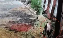 कलेक्टर के दफ्तर में आग- कई विभागों की फाइलें जलकर राख- दो लड़कों ने..