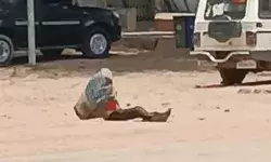 डिस्ट्रिक्ट हॉस्पिटल पर मधुमक्खियां का अटैक- पति को पल्लू से ढककर...