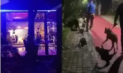 रेव पार्टी पर छापे में हुस्न के साथ मिला ड्रग्स का तड़का- MLA का..... रेव पार्टी पर छापे में हुस्न के साथ मिला ड्रग्स का तड़का- MLA का.....