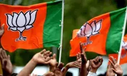 बच्चे दो ही अच्छे-तीसरा होते ही चली गई दो भाजपाइयों की पार्षदी बच्चे दो ही अच्छे-तीसरा होते ही चली गई दो भाजपाइयों की पार्षदी