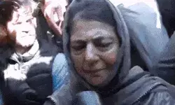 धरने पर बैठी पूर्व सीएम- बोली सवेरे से कर रखी है मेरी आउटगोइंग बंद धरने पर बैठी पूर्व सीएम- बोली सवेरे से कर रखी है मेरी आउटगोइंग बंद