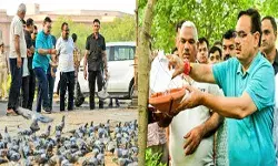 भजनलाल ने सेंट्रल पार्क में पक्षियों के लिए बांधे परिंडे