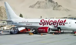 लेह जा रहे प्लेन के इंजन से टकराया पक्षी- आधे घंटे बाद विमान दिल्ली...