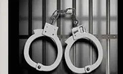 दस हजार फर्जी सिम आपूर्ति करने की आरोपी महिला गिरफ्तार दस हजार फर्जी सिम आपूर्ति करने की आरोपी महिला गिरफ्तार