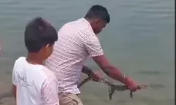 मछली के चक्कर में मगरमच्छ उठा लाए तीन दोस्त- मौत को देख मची खलबली