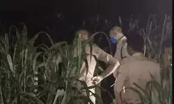 पिता के साथ खेत पर गई 4 साल की बच्ची का मर्डर- ईट से पीटकर खेत में.... पिता के साथ खेत पर गई 4 साल की बच्ची का मर्डर- ईट से पीटकर खेत में....