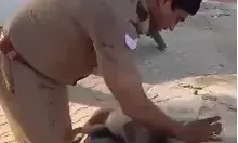 गर्मी से बेहाल होकर मरणासन्न हुए बंदर की सिपाही ने ऐसे बचाई जान गर्मी से बेहाल होकर मरणासन्न हुए बंदर की सिपाही ने ऐसे बचाई जान