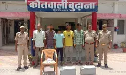 पुलिस का एक्शन जारी- मोबाइल टावर बैटरी तथा भैंस चोर किये गिरफ्तार पुलिस का एक्शन जारी- मोबाइल टावर बैटरी तथा भैंस चोर किये गिरफ्तार