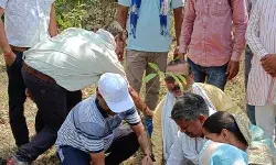 घुलघली तालाब की सफाई करने के बाद किया वृक्षारोपण- तालाब किनारे... घुलघली तालाब की सफाई करने के बाद किया वृक्षारोपण- तालाब किनारे...