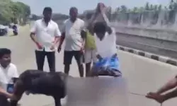 बकरी को BJP नेता की फोटो लगाकर क्रूरता से काटा- मनाया जीत का जश्न बकरी को BJP नेता की फोटो लगाकर क्रूरता से काटा- मनाया जीत का जश्न