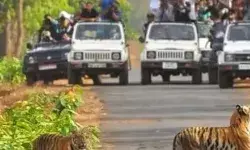 पड़ी मानसून की मार-30 सितंबर तक पर्यटकों के लिए बंद रहेगा टाइगर रिजर्व