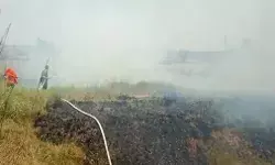 लाईन किनारे घास में लगी आग रेलवे ट्रैक तक पहुंची- रेल संचालन हुआ बाधित