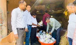 स्वास्थ्य विभाग ने भरे फल एवं सब्जियों के सैंपल- मचा हड़कंप स्वास्थ्य विभाग ने भरे फल एवं सब्जियों के सैंपल- मचा हड़कंप